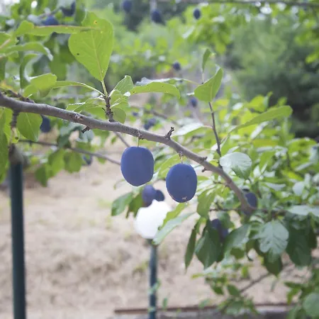 I Profumi Della Collina Casa de Férias *